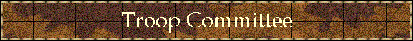 Troop Committee
