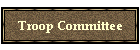 Troop Committee